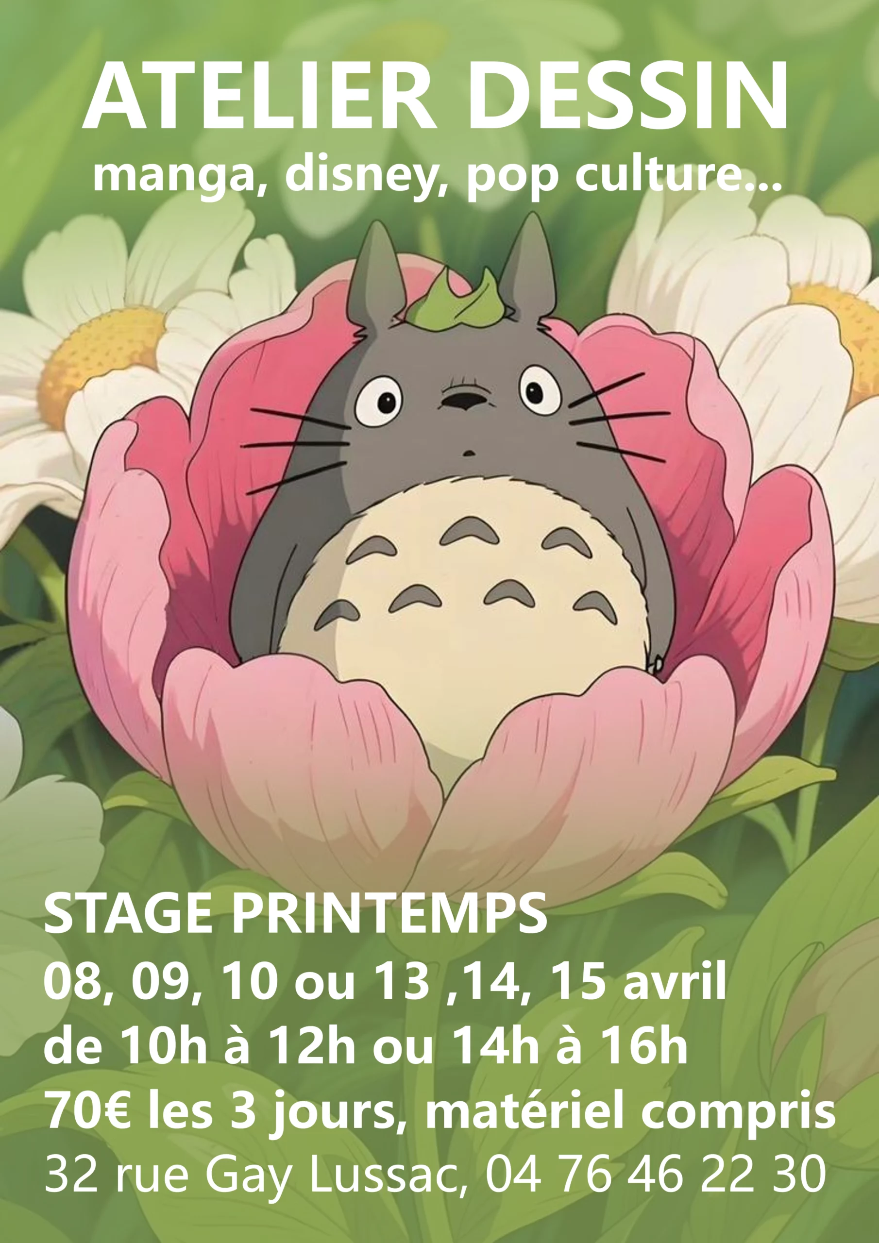 stage Grenoble dessin manga